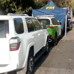 El hallazgo alertó a los vecinos de Las Condes, Instagram
