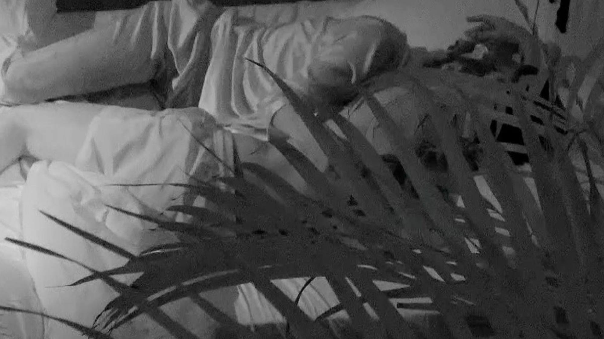 Pareja de “¿Volverías con tu ex? 2” protagonizó apasionada r