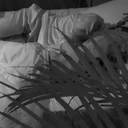 La pareja durmió junta toda la noche ,Captura