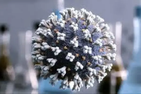 Variante K impulsa alza de influenza y adelanta una temporada más intensa ,Referencial