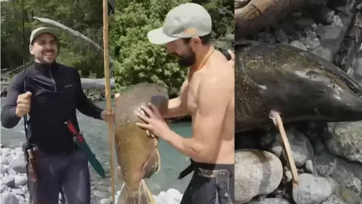 Sernapesca contra Pangal por atravesar salmón con un palo