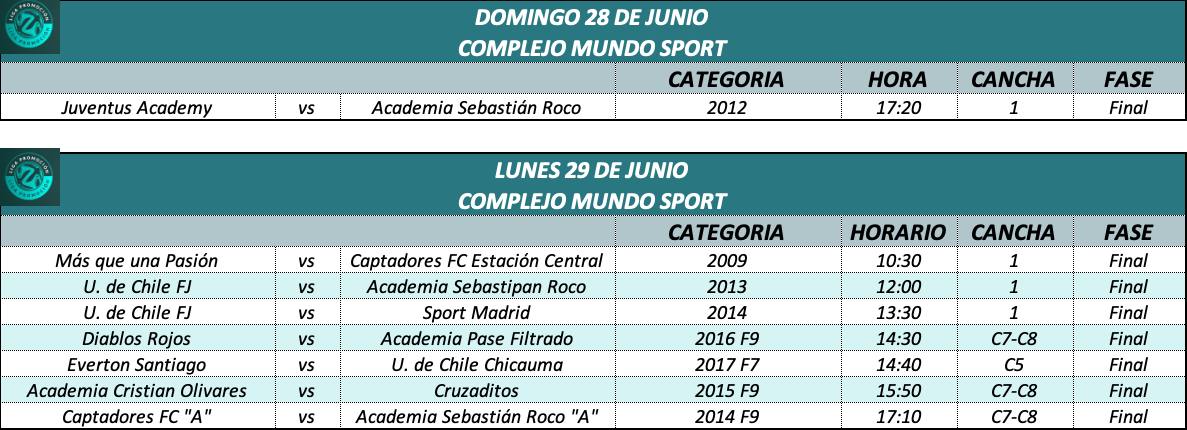 Liga Promoción y finales Copa 1 - Captura