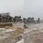 El estero Marga Marga en su máxima capacidad, Captura