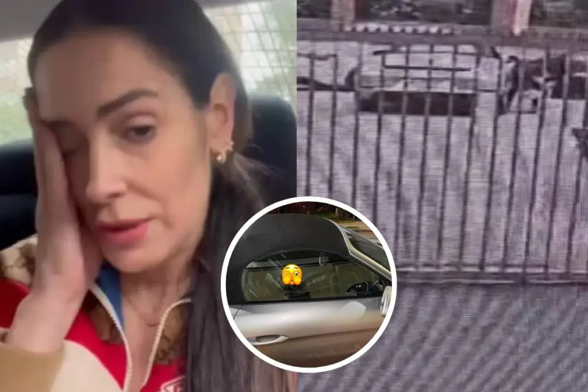 Así quedó el Porsche de Adriana Barrientos tras violento portonazo, Redes sociales | Referencial
