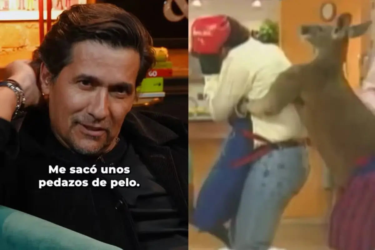 Rafael Araneda y el episodio con el canguro, Entre Broma y Broma 
