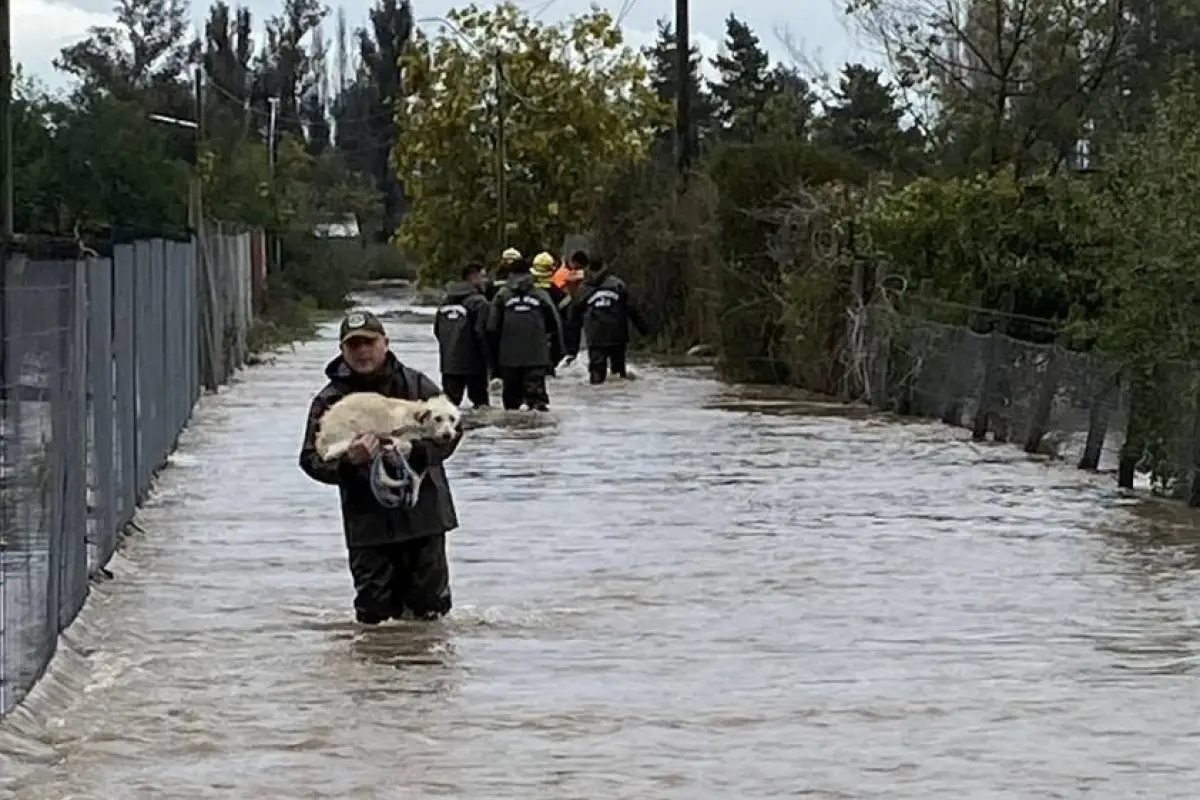 temporal