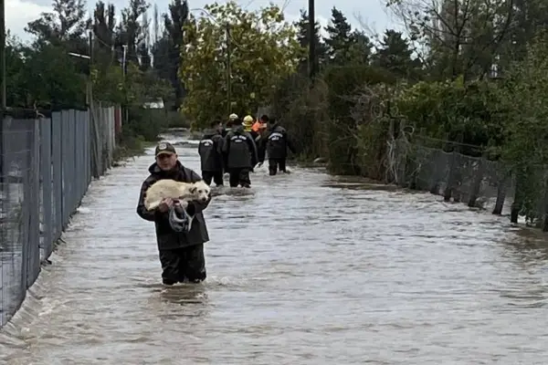 temporal