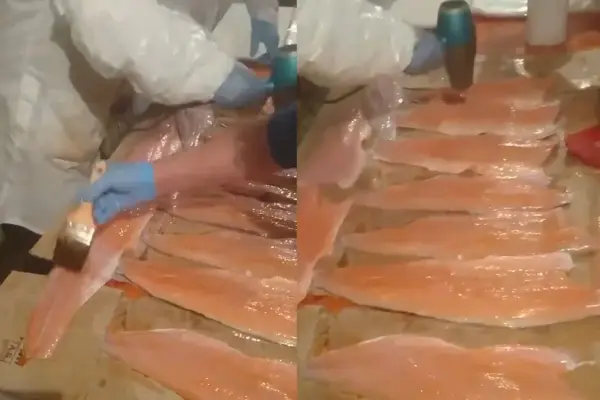 Alerta por venta informal de salmón ,Captura