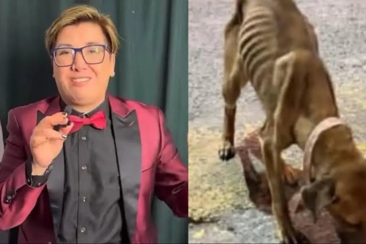 maltrato animal, redes sociales