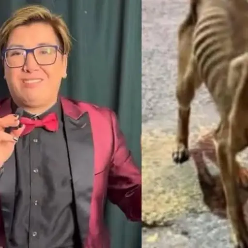 maltrato animal ,redes sociales