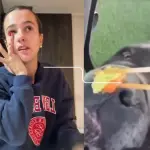 Josefa Sáez le dio wasabi a su perro, Captura