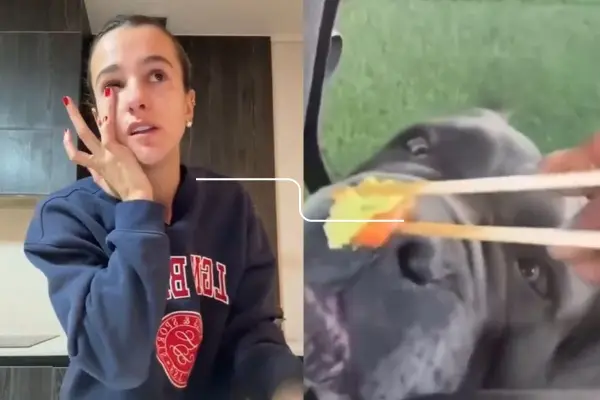 Josefa Sáez le dio wasabi a su perro ,Captura