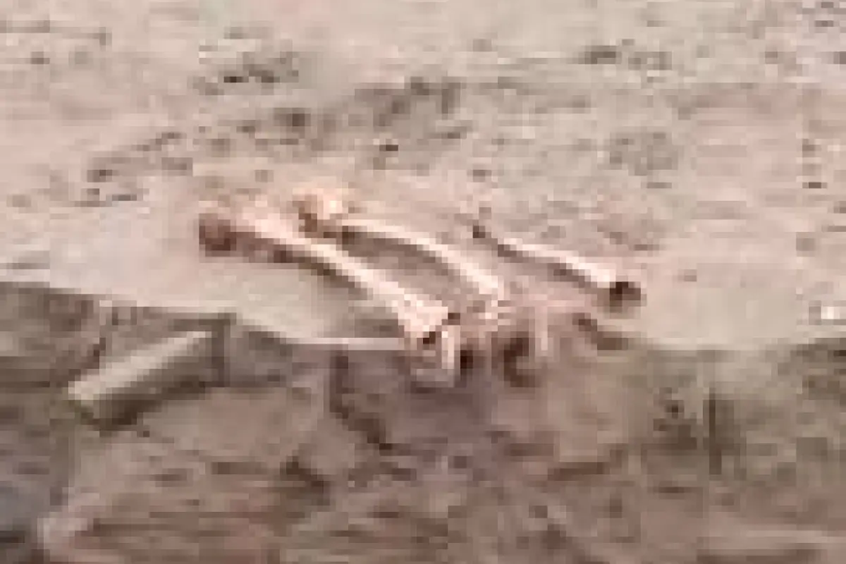 Osamentas halladas en Coquimbo, Captura de pantalla