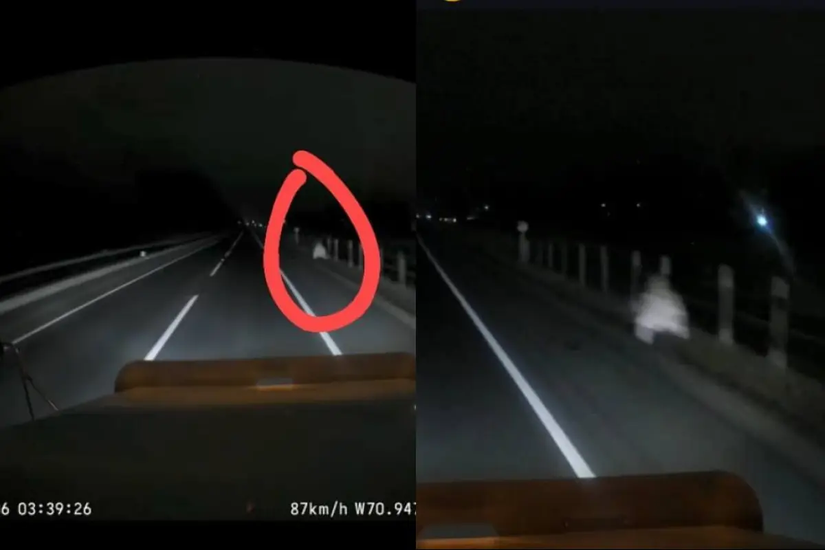 Inquietante presencia en plena Ruta 78, Captura de Instagram | Carlos Martínez