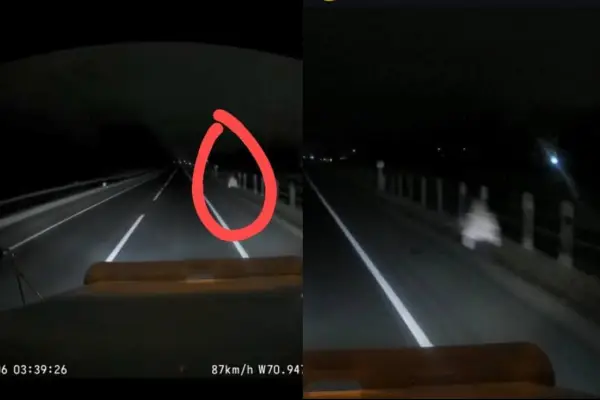 Inquietante presencia en plena Ruta 78 ,Captura de Instagram | Carlos Martínez
