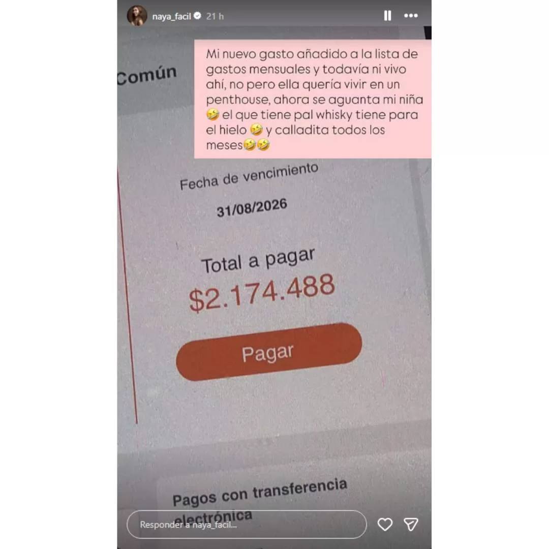 Naya Fácil y los gastos comunes de su penthouse - Naya Fácil | Instagram
