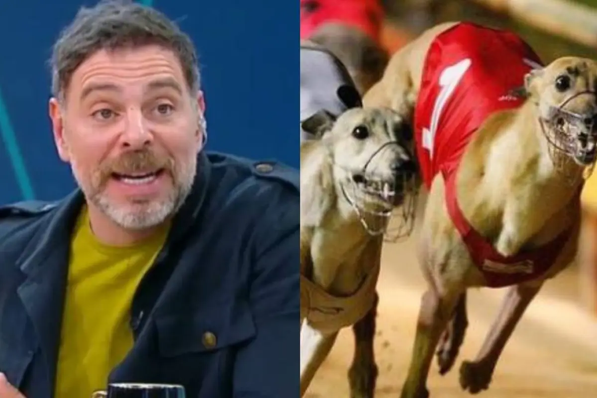 José Antonio Neme | Carreras de perros galgos, Mucho Gusto | Referencial