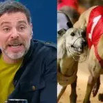 José Antonio Neme | Carreras de perros galgos, Mucho Gusto | Referencial