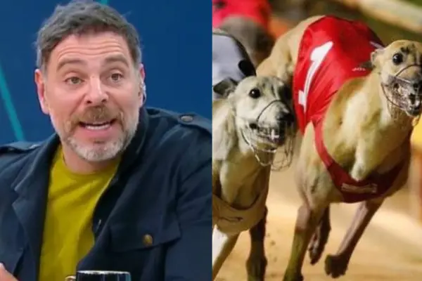 José Antonio Neme | Carreras de perros galgos ,Mucho Gusto | Referencial