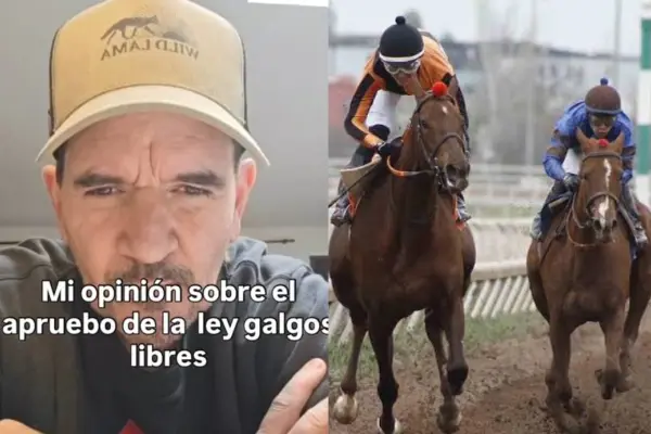 No dejó caballo parado: a propósito de los galgos Vasco Moulián desafía a la Hípica chilena ,Vasco Moulian | Instagram