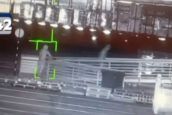 Delincuentes fueron sorprendidos in fraganti ,Captura