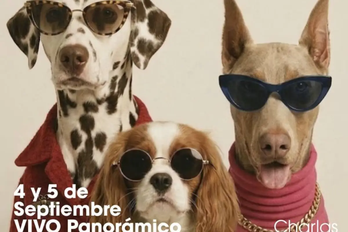 perros, cedida