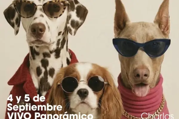 perros ,cedida