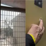 ''Bala loca'' impactó en vivienda de Ñuñoa en la previa del Superclásico, Captura | Meganoticias