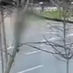 Terrible muerte encontró hermana de María José Prieto, Captura