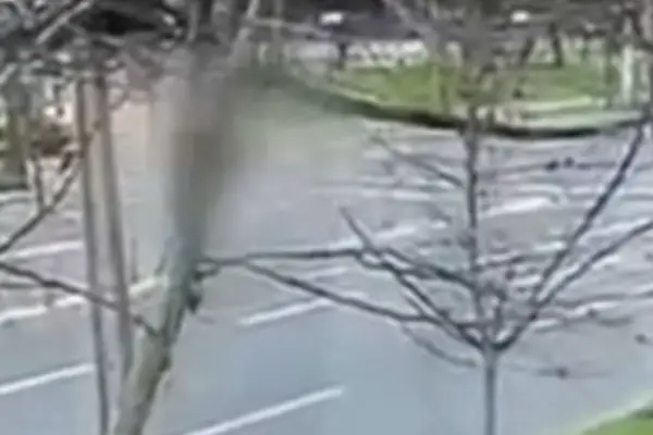 Terrible muerte encontró hermana de María José Prieto ,Captura