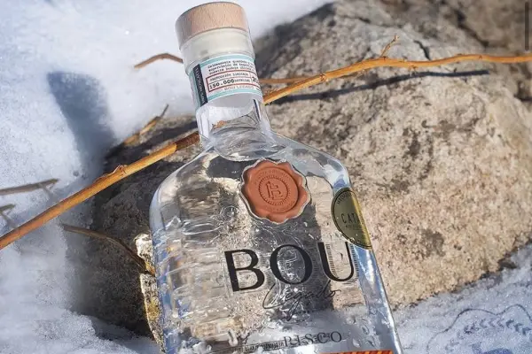Pisco Bou