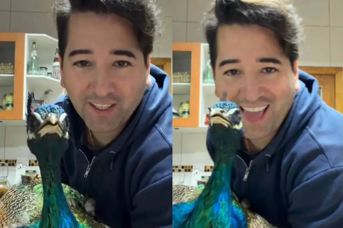 Javier Olivares tiene pavo real como mascota, Javier Olivares | Instagram