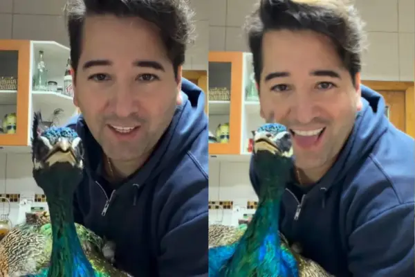 Javier Olivares tiene pavo real como mascota ,Javier Olivares | Instagram