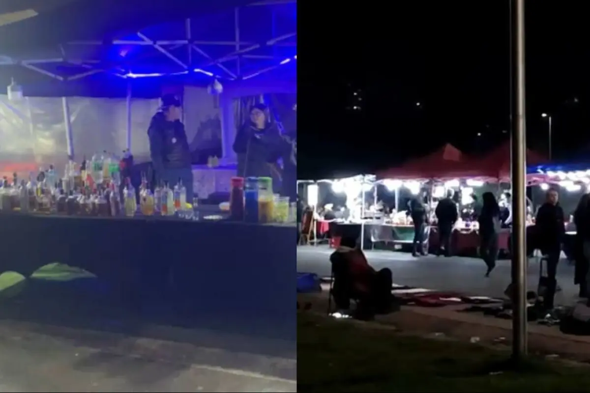El comercio ambulante que tiene en vilo al Parque O'Higgins, Redes sociales | X