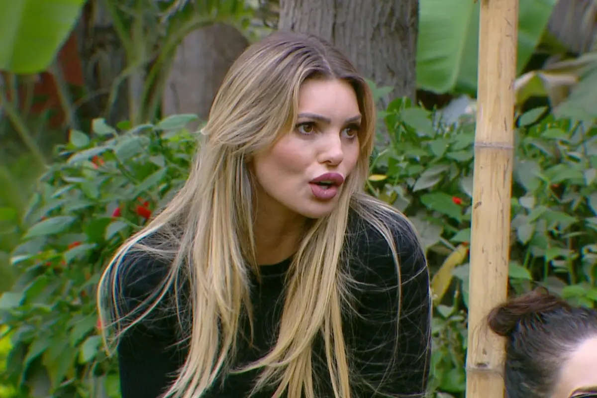 Faloon Larraguibel en ''¿Volverías con tu Ex? 2, Cedida | Mega