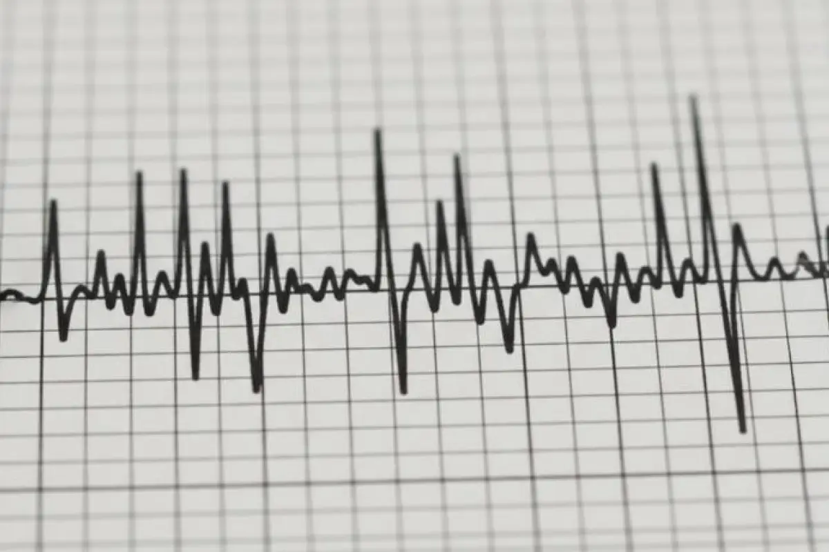 Temblor, captura