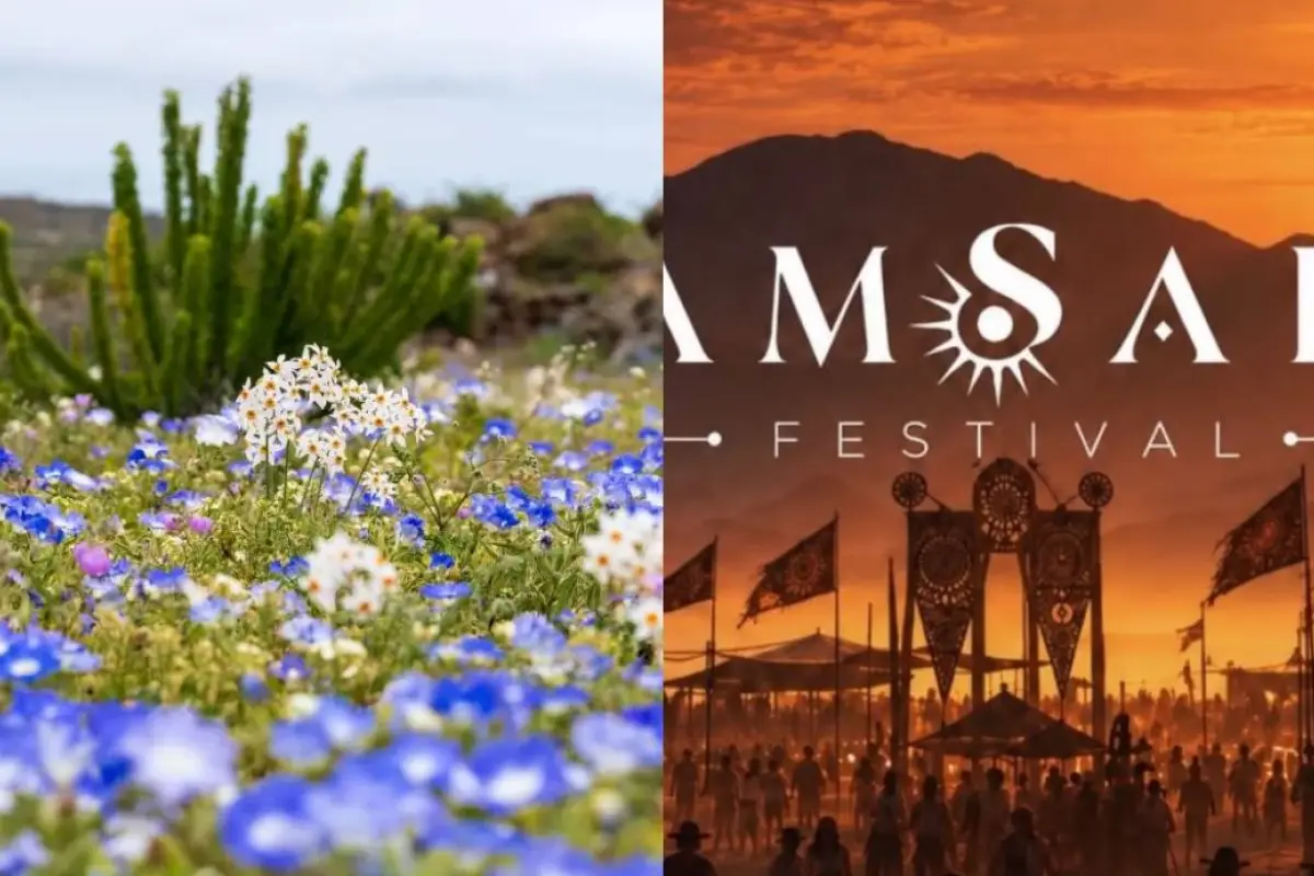 Polémica por ''fiesta electrónica'' en desierto florido, Redes sociales | Captura