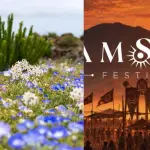 Polémica por ''fiesta electrónica'' en desierto florido, Redes sociales | Captura