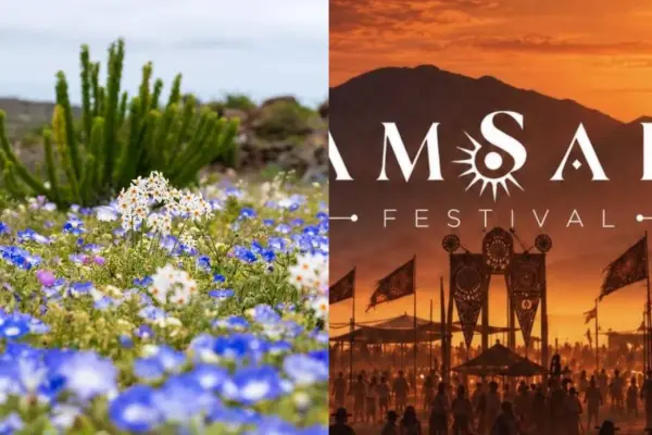 Polémica por ''fiesta electrónica'' en desierto florido ,Redes sociales | Captura