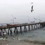 Caleta Portales, Redes sociales | Referencial