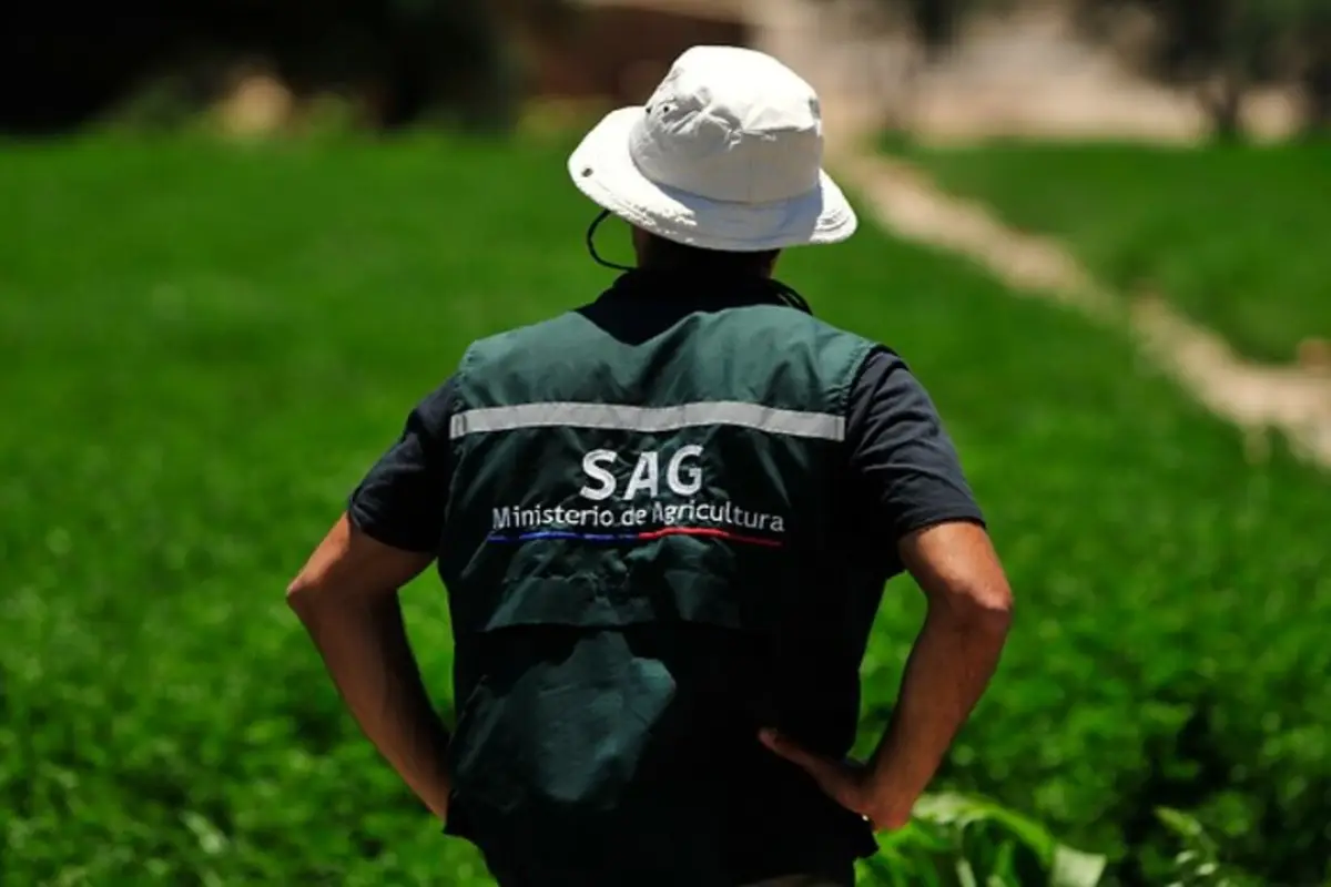 Trabajador del SAG regaló juguete sexual a compañera y fue despedido, Redes sociales | Referencial