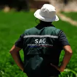 Trabajador del SAG regaló juguete sexual a compañera y fue despedido, Redes sociales | Referencial