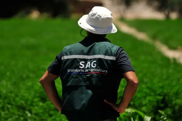 Trabajador del SAG regaló juguete sexual a compañera y fue despedido ,Redes sociales | Referencial