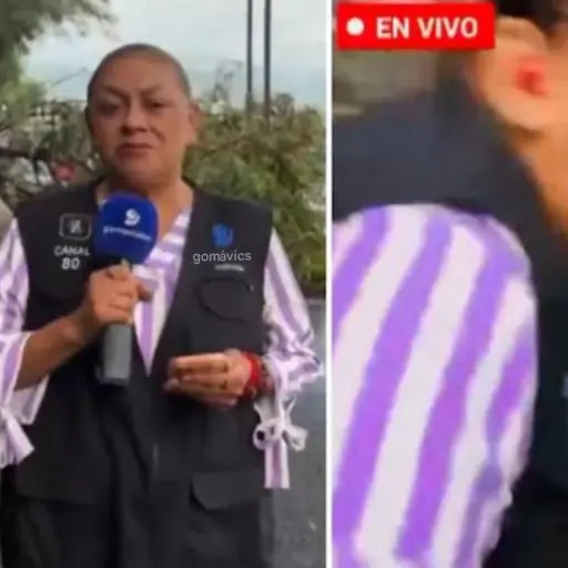 Periodista ,captura