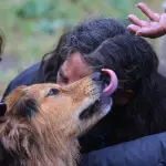 \Morocho\ fue rescatado desde río Mapocho, Instagram