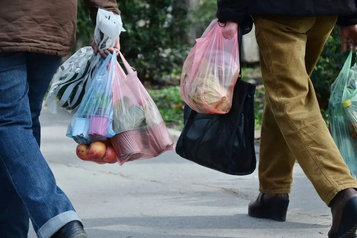 Bolsas plásticas desaparecieron en 2018 de los supermercados, Instagram