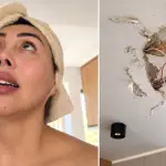 Naya Fácil