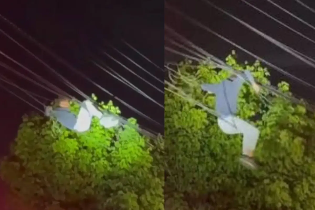 Ladrón de cables quedó enredado en el tendido eléctrico, Captura de redes sociales