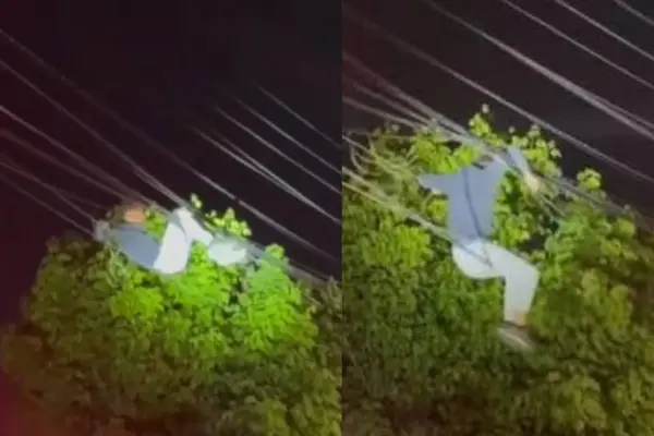Ladrón de cables quedó enredado en el tendido eléctrico ,Captura de redes sociales